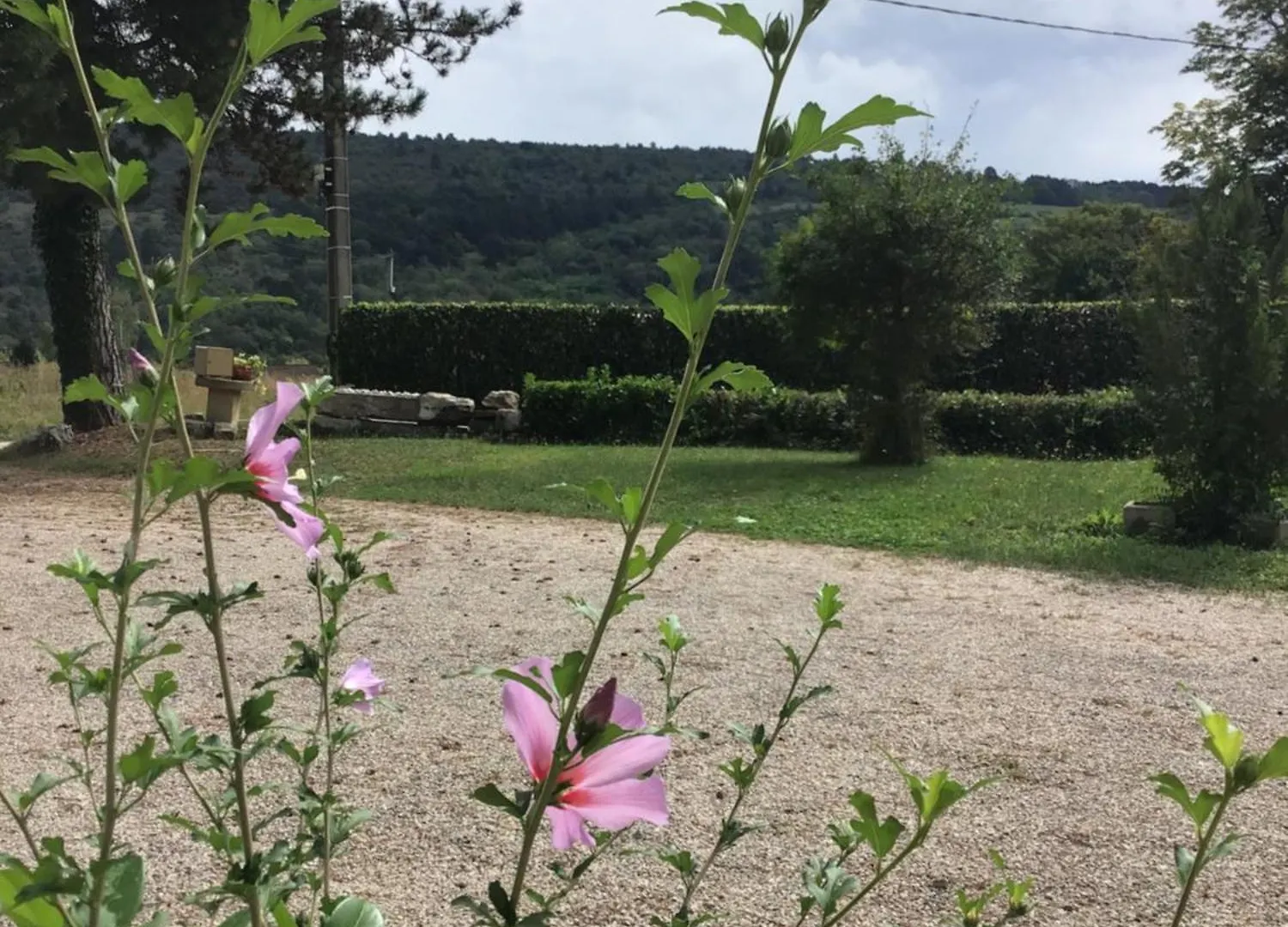Gite Lucie Treffort