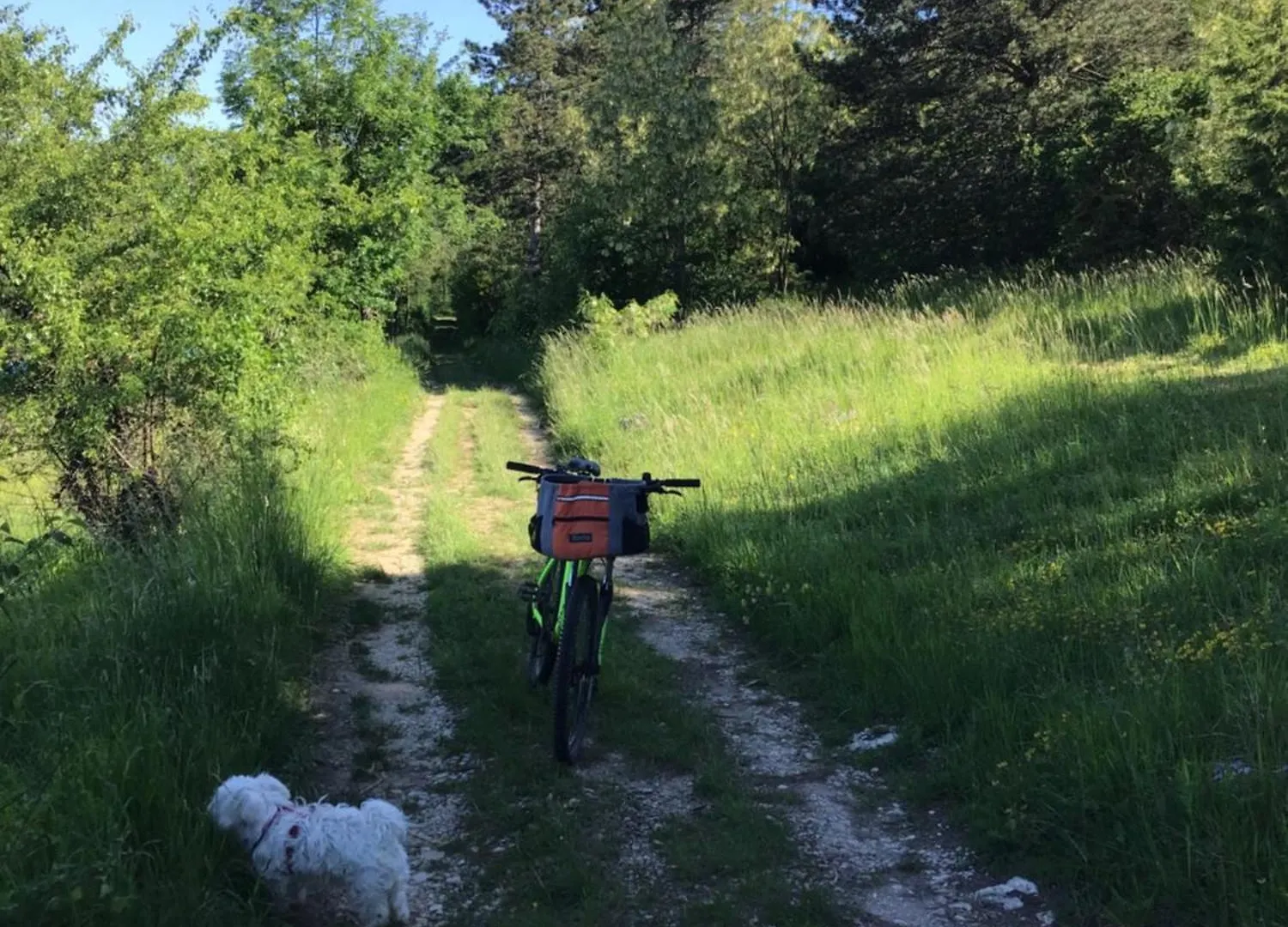 Hébergement de vacances Gite Lucie Treffort  France