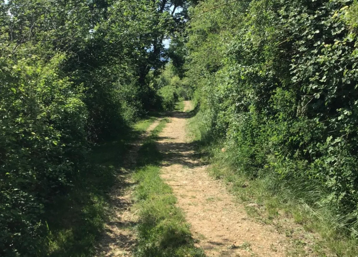 Gite Lucie Treffort  France
